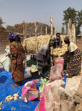 0509a171-64c7-46d6-97e6-cbb46ba7357d